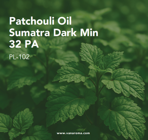 Huile Essentielle de Patchouli Noir Bio 5ml Qualité Supérieure Certifiée GMP Fournisseur en Gros Extrait Végétal Hydratant OEM ODM - Product Image 2