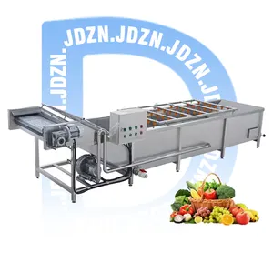 Industrial Commercial Bubble Coconut Fruit Washing Machine Celery Carrot Tomatoes Vegetable Cleaning Machine