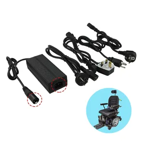 Chargeur de batterie personnalisé 24 v lifepo4 vélo électrique et scooter et fauteuil roulant chargeur de batterie 24 volts