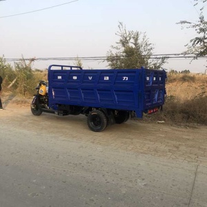 Nouveau style de tricycle 300cc pour passagers et marchandises, moto à trois roues à essence - Product Image 6