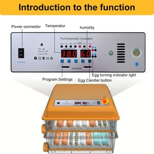 CE 인증 계란 인큐베이터-저소음 작동 및 계란 롤링 시스템을 갖춘 가정용 자동 가금류 부화기 - Product Image 3