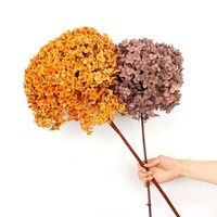 Bunga Hydrangea Awet Berkualitas Tinggi, Kepala Besar, Hijau Kuning, untuk Dekorasi Rumah dan Pernikahan