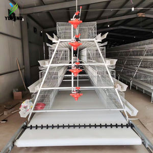 Cage à poulets de type A pour poules pondeuses avec <span class=keywords><strong>mangeoire</strong></span> en PVC et tuyau d'eau, résistante à la pression et à la chaleur - Product Image 4