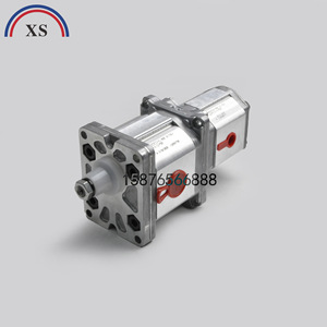 Pola Oil Pump Pola2-<b>D</b>-13-P507 Aluminum For Bona Paper Cutter Italy Made - Product Image 4