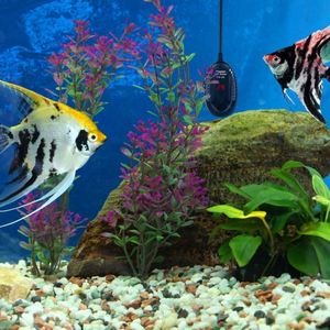 Chauffe-poissons Intelligent <span class=keywords><strong>100</strong></span> à Led, pour Aquarium, 20 gallons, prix bon marché - Product Image 4