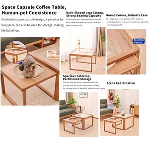 Op Maat Gemaakte Moderne Nestelsalontafel Met Glazen Tafelblad En Huisdierruimtecapsule - Product Image 4