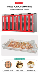 WONEGG nuovo telecomando commerciale di capacità di 10000 tipo a rullo automatico incubatori di uova da cova con solare - Product Image 3
