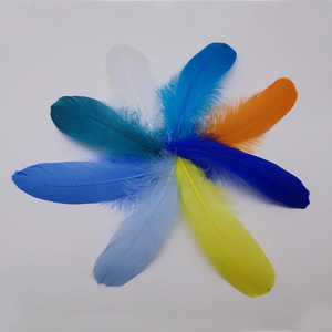 Plumes Naturelles, Plumes d'Oie Teintées, Grandes Plumes Rigides pour la Décoration Intérieure, Accessoires - Product Image 3
