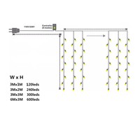 Guirlandes lumineuses LED pour fenêtre, 2700K blanc chaud, pour décoration de mariage et de fête