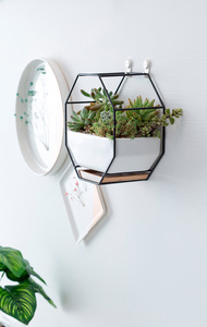 Macetero de Pared Moderno con Diseño <span class=keywords><strong>Octagonal</strong></span> de Alambre Metálico, Estantes de Pared con <span class=keywords><strong>Maceta</strong></span> de Cerámica para Plantas de Aire - Product Image 6