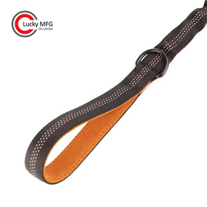 Laisse de dressage à double poignées de contrôle Laisse élastique réfléchissante en nylon pour chien avec absorption des chocs - Product Image 3