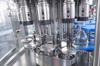 Machine automatique de remplissage et de bouchage de liquides, 12 têtes, bouchon à vis, acier inoxydable, sans bouteille, sans remplissage, pour boissons non gazeuses