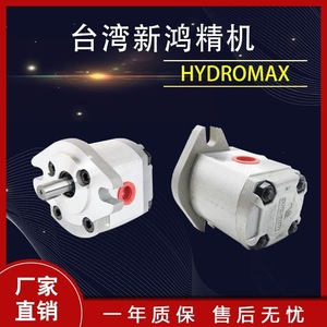 Bomba de aceite para engranajes Hsin Hung HGP-1AF1R, bomba hidráulica de 1 etapa y 1/2 pulgada para uso industrial - Product Image 2