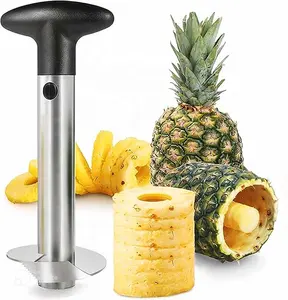 Tianxing Keuken Tool Fruit Mes Snijmachine Tool Roestvrij Staal Ananas Snijder Corer Ananas Dunschiller Met Antislip Handvat