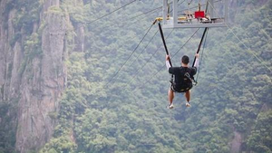 Balançoire élastique <span class=keywords><strong>du</strong></span> <span class=keywords><strong>diable</strong></span> - Product Image 5