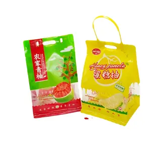 Custom Handbag Fruit Rice Flat Bottom Pouches Food Grade Plastic Bag Flat Pouch With Window