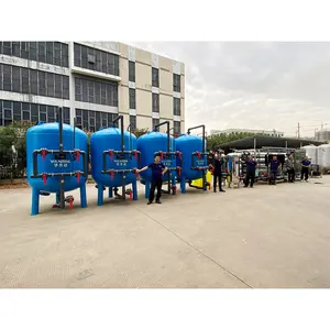 Volardda 50T PH Two/Double Stage SS Food Grade Reverse Osmosis Water Purifier Machine Water Treatment Plant