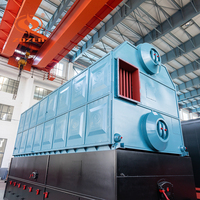 Le charbon chinois d'usine a mis le feu à la chaudière à vapeur industrielle de l'industrie alimentaire 6ton/h