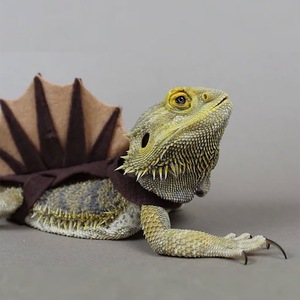Divertido <span class=keywords><strong>Disfraz</strong></span> <span class=keywords><strong>de</strong></span> Dinosaurio para Mascotas Pequeñas, Traje <span class=keywords><strong>de</strong></span> Fieltro <span class=keywords><strong>de</strong></span> Lagarto y Camaleón con Lindos Accesorios - Product Image 1