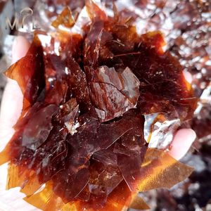 حشية طلاء الأظافر <span class=keywords><strong>Shellac</strong></span> CAS-59-3 رقائق سعر شمع جل خفيف بالأشعة فوق البنفسجية Colore المواد الكيميائية الأولية - Product Image 2