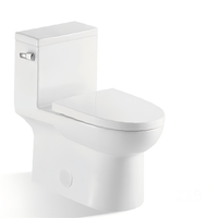 Ensemble de toilette moderne en céramique à double chasse articles sanitaires Bidet en HDPE citerne dissimulée CUPC approuvé articles de salle de bain