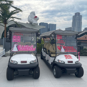 Nuevo Diseño, Carro de Golf con Motor de 4kw y Batería de 60v, Vehículo Turístico, Scooter de Golf, Motor de Alta Potencia que Ofrece un Rendimiento Inigualable - Product Image 4