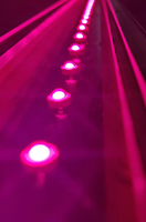 Diode électroluminescente HPL rose LED à spectre complet haute puissance élèvent la lumière LED 380-850nm