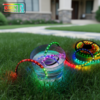 Bande LED intelligente WS2812B RGB 5050 SMD5050 2700K 10mm 30/60/144LEDs/m DC5V USB 5m/10m/30m en rouleau IP67 étanche / Wi-Fi