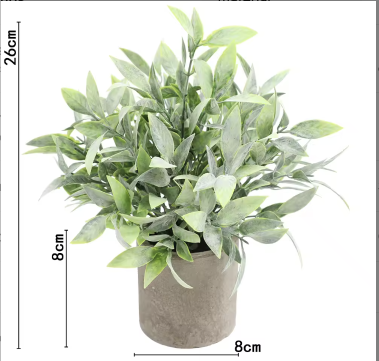 Poudre de feuille d'érable ahe373-069