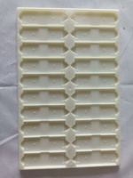 Competitive Good Quality Disposable 20pcs Capacity With Laboratory Usage Slide Tray for Microscope Slide