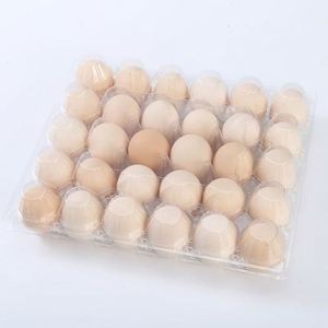Barquette à œufs transparente jetable en plastique, 4, 6, 8, 9, 10, 12, 15, 16, 20, 30 alvéoles, pour les agriculteurs - Product Image 2