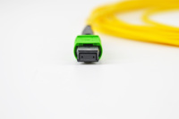 AI Data Center Fiber Jumper MTP MPO Jumper MTP UPC ke MTP UPC, 12 Serat, SM MM OM4, Plenum (OFNP), Tipe B, 40G/100G