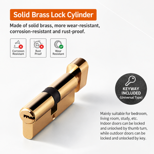 ชุดล็อคประตูแบบก้านโยก Golden Bird พร้อมระบบแม่เหล็กเงียบ สำหรับประตูภายในบ้าน อพาร์ทเม้นท์ และโรงแรม - Product Image 3