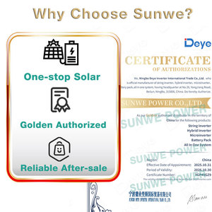 อินเวอร์เตอร์พลังงานแสงอาทิตย์แบบไฮบริดสามเฟส <span class=keywords><strong>Deye</strong></span> 5/6/8/10/12K-SG01HP3-EU-AM2 แรงดันสูง 5KW 6KW 8KW 10KW 12KW - Product Image 2