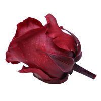 5-6cm C Grade konservierte Rosen 6 Stück ewige ewige ewige für immer unsterbliche Blumen