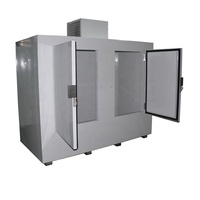 Congélateur extérieur à 2 portes pour glace en sac, avec porte pleine, refroidissement direct, bac de présentation de glace, en acier galvanisé, dégivrage automatique