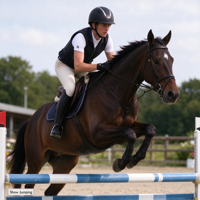 Casque d'équitation Peak Horse Rider pour saut d'obstacles et dressage, coque ABS, doublure EPS, norme de sécurité, fournisseur en gros d'équipements équestres