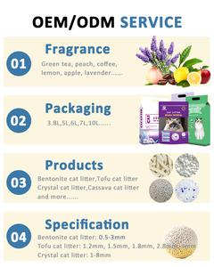 โรงงานขายส่งทราย<span class=keywords><strong>แมว</strong></span>เต้าหู้ธรรมชาติแบบจับตัวเป็นก้อน ฝุ่นน้อย ควบคุมกลิ่นได้ดี ได้รับการรับรองมาตรฐาน ISO9001 ผลิตจากเส้นใยถั่วลันเตาและแป้งข้าวโพด รับผลิตแบบ OEM และ Private Label - Product Image 6