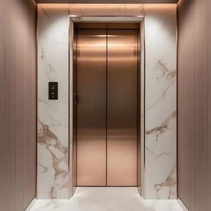 Ascenseur domestique sans engrenage en acier inoxydable, ascenseur personnalisé pour maison, petits ascenseurs domestiques, ascenseurs d'occasion à vendre - Product Image 5