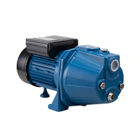 Jet 100S Pompe à eau Jet Pompe Eau Lectrique 48 M 1 pouce Pompes auto-amorçantes pour usage domestique