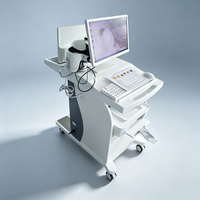 DIZI TC-30000S Analyseur Magnétique à Résonance Quantique NLS 9D&18D de Bureau avec Clé de Cryptage USB et Logiciel Complet de Surveillance de la Santé