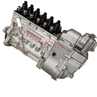 Fuel Injection Pump Assembly 1001830368 for Weichai WP12 WP13 Engine