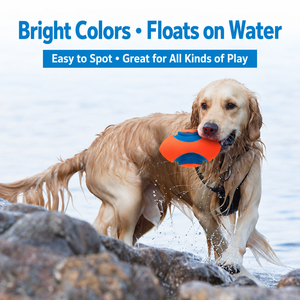<span class=keywords><strong>Chuckit</strong></span> Kick Fetch Baumwoll-Hundeball Mehrfarbig Einheitsgröße Interaktives Haustier-Bewegungsspielzeug - Product Image 2