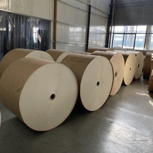วัตถุดิบสำหรับถ้วยกระดาษ กระดาษม้วนเคลือบ PE กันน้ำ - Product Image 4