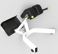 Chaise romaine de haute qualité avec extension de dossier Chaise romaine commerciale avec banc d'extension de dossier à 45 degrés