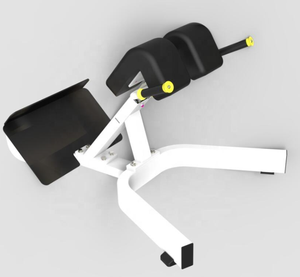 Chaise romaine de haute qualité avec extension de dossier Chaise romaine commerciale avec <span class=keywords><strong>banc</strong></span> d'extension de dossier à 45 degrés - Product Image 1