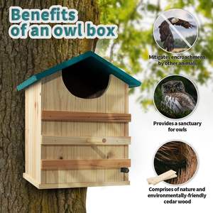 Rustik sedir ağacı el işi baykuş evi açık Screech baykuş kutusu ile kuş standı ahşap yuva kutusu - Product Image 4