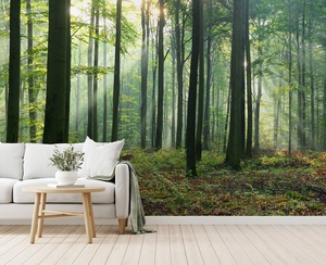 Carta da Parati Murale 3D HD con Foresta Nebbiosa, Impermeabile per Soggiorno e Camera da Letto, Carta da Parati Murale Verde Scuro con Foresta - Product Image 5
