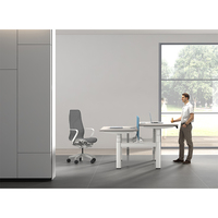 Bureau de levage stable professionnel bureau à moteur unique Tables à hauteur réglable électrique bureau d'ordinateur debout