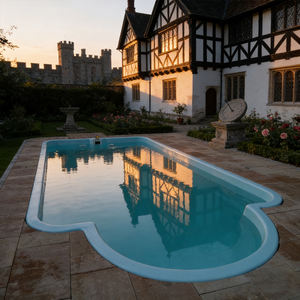 Piscine hors-sol en PVC avec terrasse, piscine transparente, piscine de 20 pieds, piscine pour chien - Product Image 2